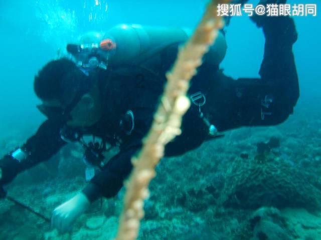 非法买卖弹药罪怎么判刑